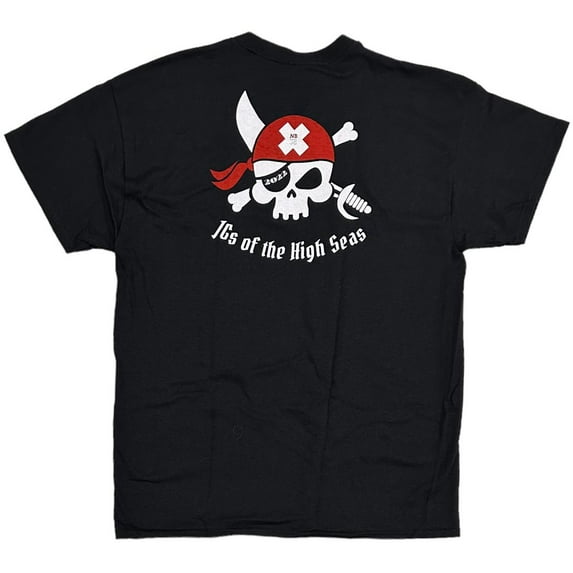 Quiksilver Kids' Boys' Youth Monster Mile Pirate Tee T-Shirt in Black (Small, Black)