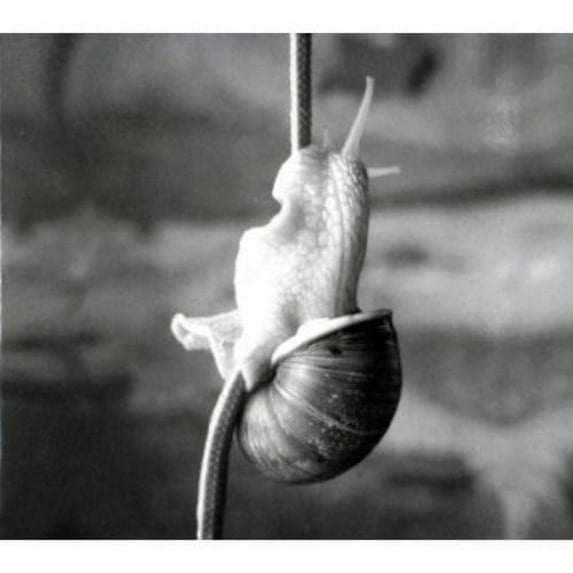 Quilibri - Eco Fato - CD