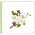 thumbnail image 1 of Quilled Apple Blossoms All Occasion Greeting Card [BL1456], 1 of 1