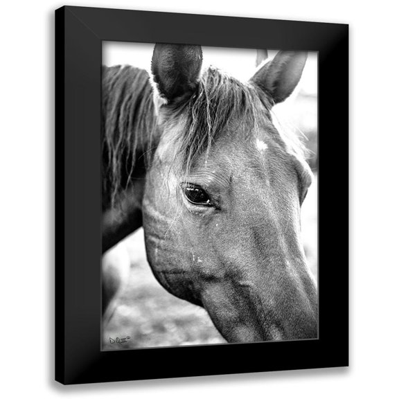 Quillen, Donnie 11x14 Black Modern Framed Museum Art Print Titled - Trophy Winner II