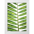 thumbnail image 1 of Quillen, Donnie 13x18 White Modern Wood Framed Museum Art Print Titled - Leaf Study II, 1 of 4