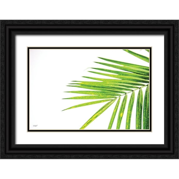 Quillen, Donnie 14x11 Black Ornate Wood Framed with Double Matting Museum Art Print Titled - Leaf Study III