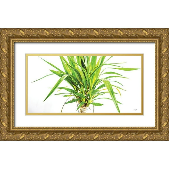 Quillen, Donnie 14x9 Gold Ornate Wood Framed with Double Matting Museum Art Print Titled - Leafy Days