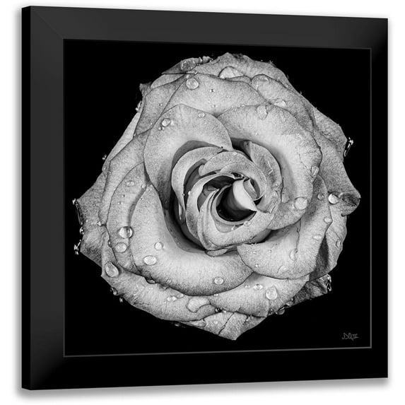 Quillen, Donnie 15x15 Black Modern Framed Museum Art Print Titled - A Love Lost