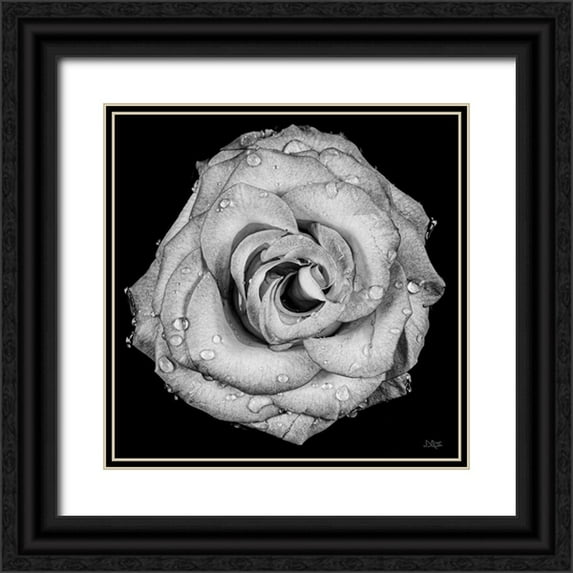 Quillen, Donnie 15x15 Black Ornate Wood Framed with Double Matting Museum Art Print Titled - A Love Lost