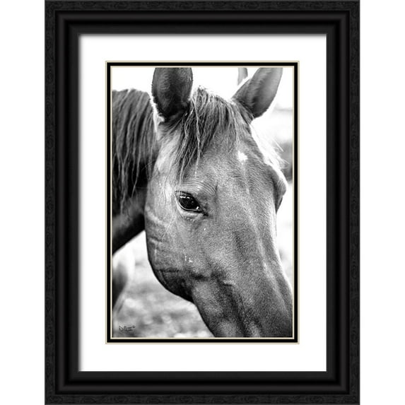 Quillen, Donnie 23x32 Black Ornate Wood Framed with Double Matting Museum Art Print Titled - Trophy Winner II
