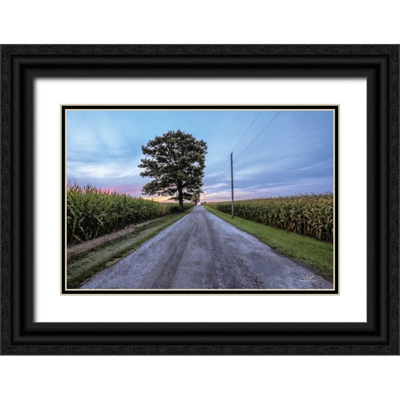 Quillen, Donnie 32x23 Black Ornate Wood Framed with Double Matting Museum Art Print Titled - A Summer Sunset II