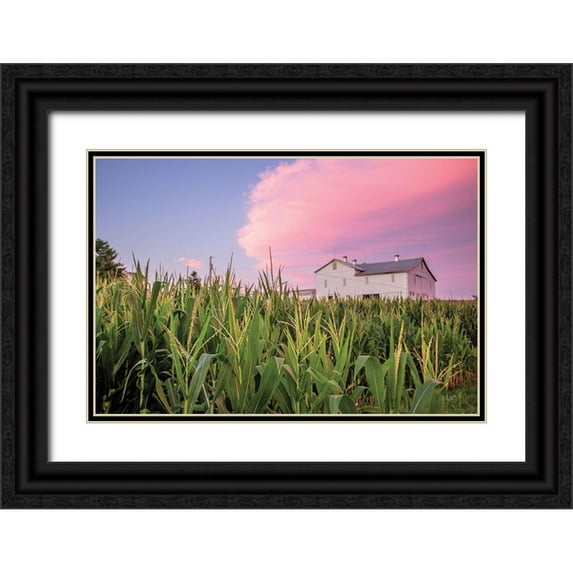 Quillen, Donnie 32x23 Black Ornate Wood Framed with Double Matting Museum Art Print Titled - Corn Crop