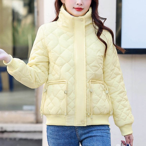Xunlbb Winter Coats for Women Women's Winter Short Cotton-Padded Coat Women's Long Sleeve High Neck Warm Coat Loose Casual Cotton-Padded Coat,Size XL-5XL