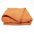 thumbnail image 1 of Quilted Microfiber 15-Pound Weighted Throw Blanket, Canyon Clay, 48" x 72", 1 of 4