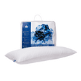 thumbnail image 1 of Quilted White Goose Feather Body Pillow - 60", 1 of 8