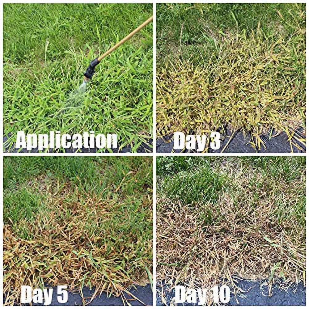 Quinclorac 1.5 L (1/2 gal.) compare to Drive XLR8 Kills Crabgrass