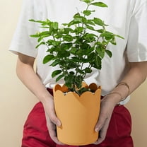 Todaioua 5 Inch Plastic Flower Pots for Indoor and Outdoor Plants, 1 Pack with Drainage Holes & Saucers, Modern Art Design, Lightweight and Durable Planter for Garden, Patio, Balcony, Home Decor (Bro