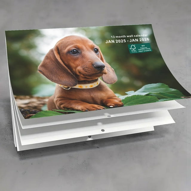 Quinlirra Clearance 2025 Wall Calendar Dogs Calendar 20252026 Wall