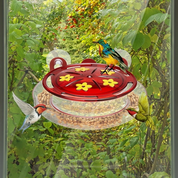 Todaioua Hummingbird Feeder for Outdoors, Window Mount Bird Feeder with Metal Frame and Suction Cups, Durable Glass Hummingbird Feeder, Unique Birthday Gift for Women and Bird Lovers