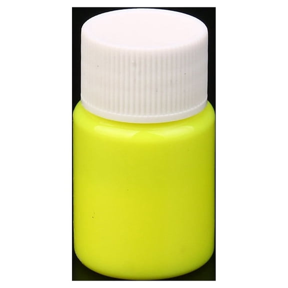 Quinlirra Glow in the Dark Acrylic Paint, Acrylic Paints for Outdoor and Indoor Decoration, Fluorescent Paint for Canvas Art Supplies for Easter Painting-E&20g