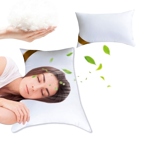 Quinlirra Promotion Bed Pillows for Sleeping, Pillows Standard Size, Cooling Luxury Hotel Quality Pillow with Premium Plush Soft Down Alternative Fill for Side Back or Stomach Sleepers