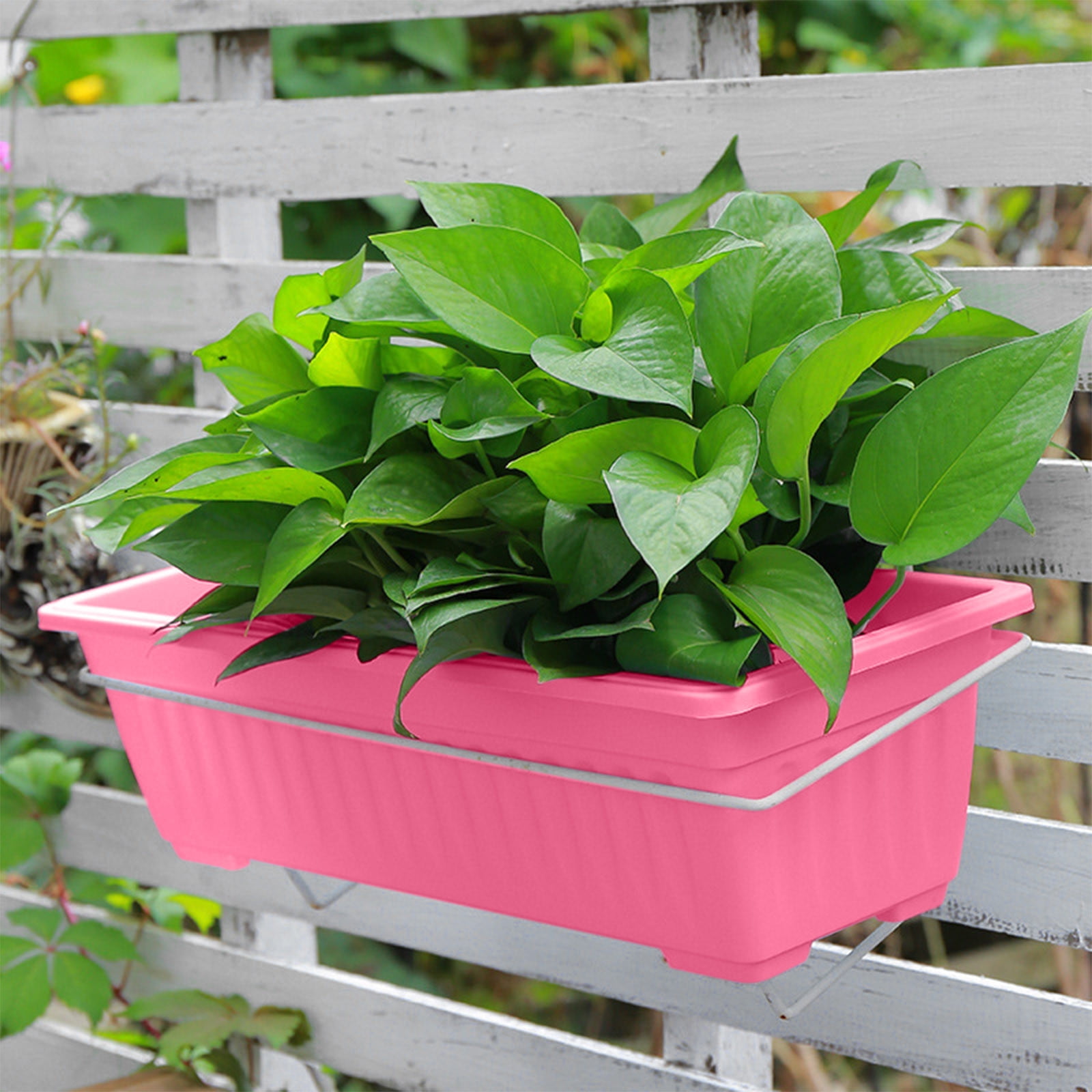 Quinlirra Window Vegetable Box Planter, Plastic Flower Planter with