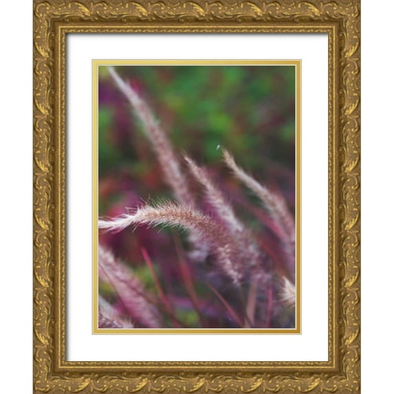 Quintero, Sonja 12x14 Gold Ornate Wood Framed with Double Matting Museum Art Print Titled - Purple Plumes I