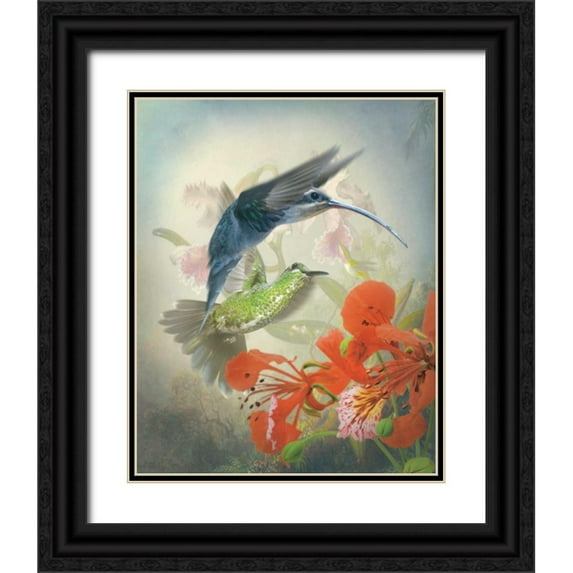 Quintero, Sonja 20x24 Black Ornate Wood Framed with Double Matting Museum Art Print Titled - Hummingbird Cycle II