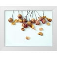 thumbnail image 1 of Quintero, Sonja 24x19 White Modern Wood Framed Museum Art Print Titled - Golden Petals I, 1 of 4