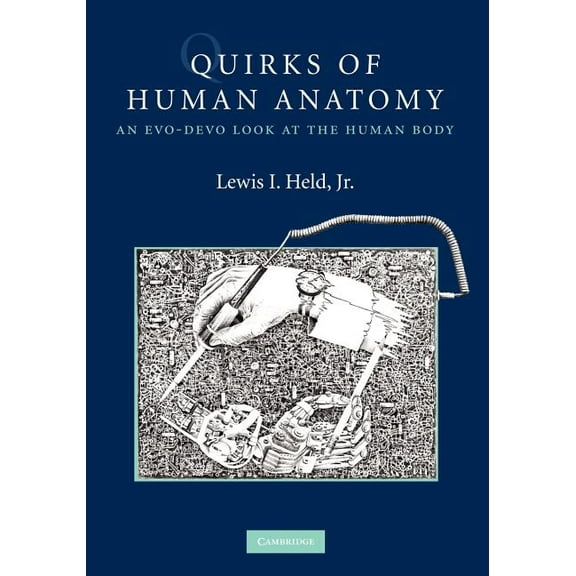 Quirks of Human Anatomy: An Evo-Devo Look at the Human Body, (Paperback)