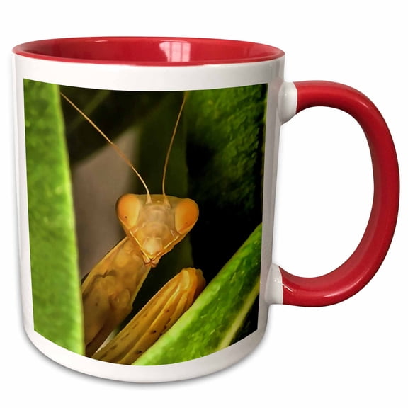 3drose, Quirky Painting of a Praying Mantis Peeking from Behind Foliage, 11oz Two-tone Red Mug
