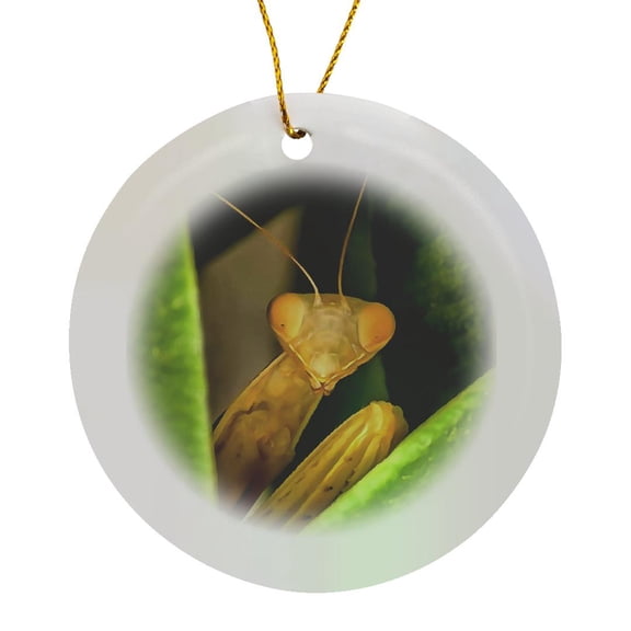3drose, Quirky Painting of a Praying Mantis Peeking from Behind Foliage, Circle Porcelain Ornament