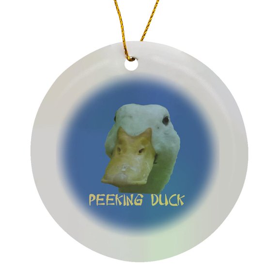 3drose, Quirky Peeking Duck Face over Punny Asian Text, Circle Porcelain Ornament