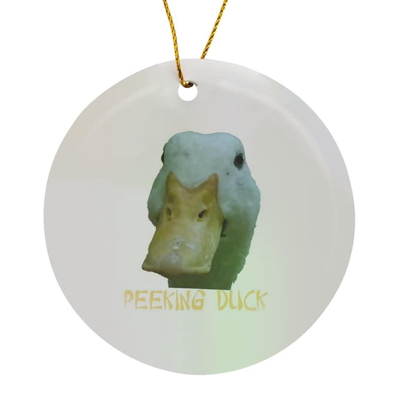 3drose, Quirky Peeking Duck Face over Punny Asian Text, Circle Porcelain Ornament