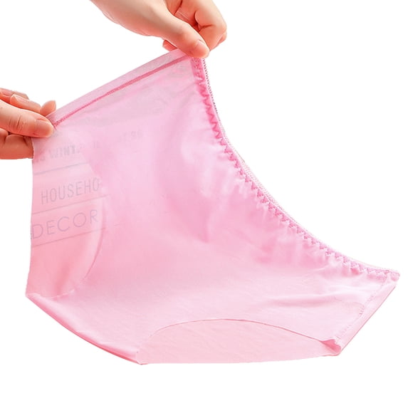 Quixlent Women's Underwear Mid Rise Seamless Sheer Mesh Panties Ultra-Thin Sexy See Through Soft Nylon Briefs