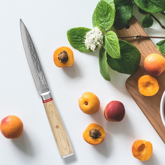 Qulajoy Damascus 5 Inch Utility Knife, Professional Sharp Japanese Kitchen Knives with Ergonomic Wood Handle
