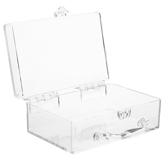 Qumonin Clear Makeup Train Case with Lock Handle - Portable Organizer