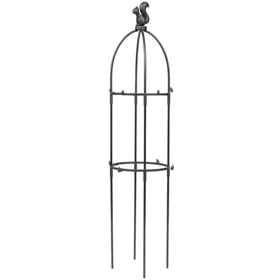 Qumonin Raspberry Trellis for Climbing Plants and Vines