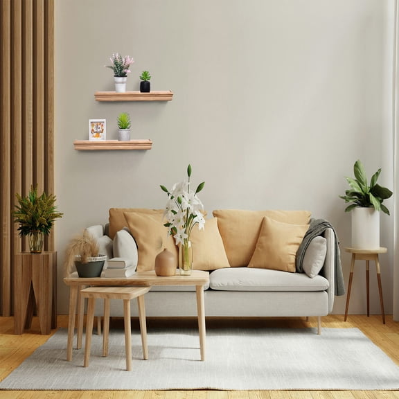 QunYou 18" Wall Mounted Wood Floating Shelves for Bathroom Bedroom Living Room Kitchen Hanging Shelf for Books/Storage/Decor with Invisible Bracket