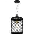 thumbnail image 1 of Quoizel Calais 1-Light Earth Black Mini Cage Pendant, 1 of 2