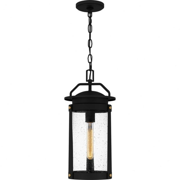 Quoizel Clifton 1-Light Earth Black Outdoor Hanging Lantern