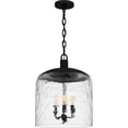 thumbnail image 1 of Quoizel Selma 3-Light Matte Black Pendant Light, 1 of 8