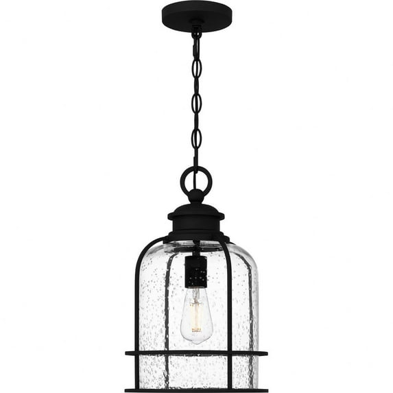 Quoizel Bowles 1-Light Earth Black Outdoor Hanging Lantern