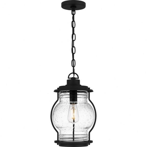 Quoizel Luther 1-Light Earth Black Outdoor Hanging Lantern