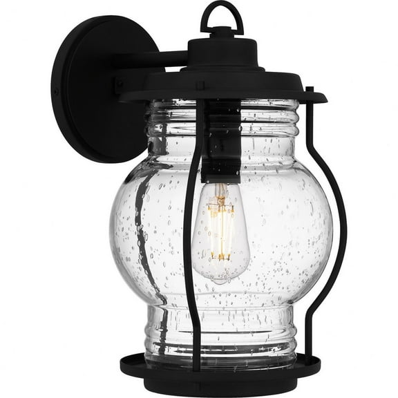 Quoizel Luther 1-Light Earth Black Outdoor Wall Lantern