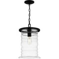 thumbnail image 1 of Quoizel Noland 1-Light Matte Black Outdoor Hanging Lantern, 1 of 6