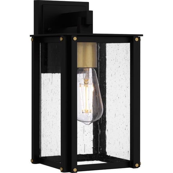 Robbins 1-Light Matte Black Outdoor Wall Lantern