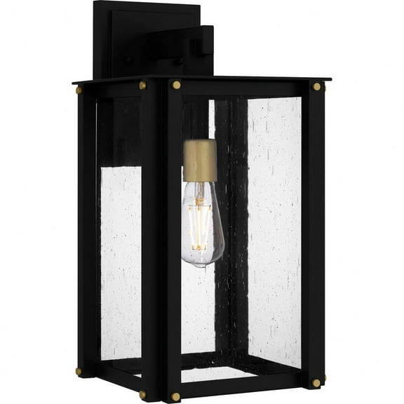 Quoizel Robbins 1-Light Matte Black Outdoor Wall Lantern
