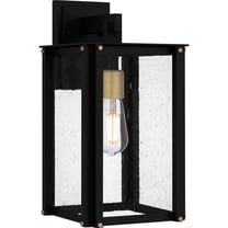 Quoizel Robbins 1-Light Matte Black Outdoor Wall Lantern