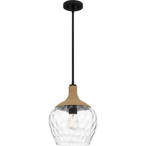 Royer 1-Light Matte Black Mini Pendant Light