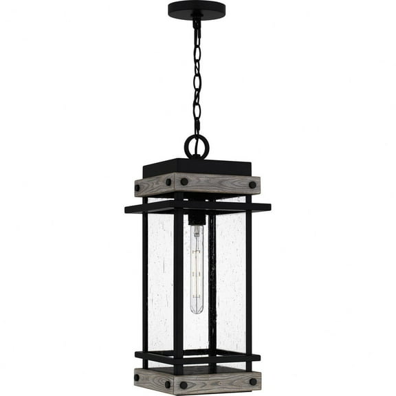 Quoizel Strader 1-Light Matte Black Mini Pendant Light