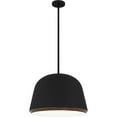 thumbnail image 1 of Quoizel Tamara 4-Light Matte Black Pendant Light, 1 of 8