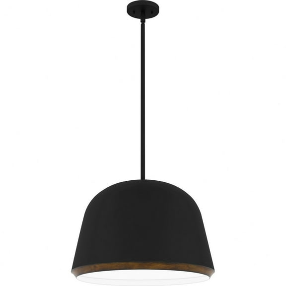 Quoizel Tamara 4-Light Matte Black Pendant Light