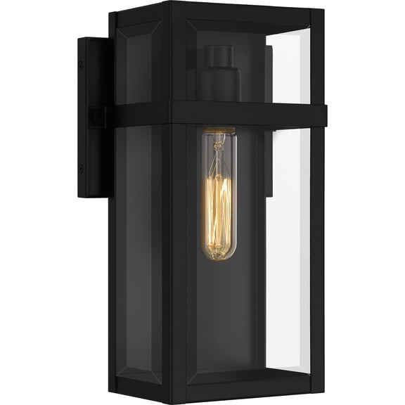 Vanessa 1-Light Matte Black Outdoor Wall Lantern